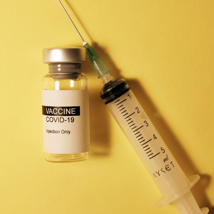 En savoir plus sur le fonctionnement des vaccins