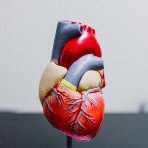 Comment baisser naturellement son rythme cardiaque ?